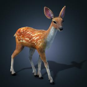 - sika deer FUR ANIMATED by
